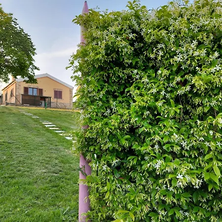 I Colori Dell'infinito